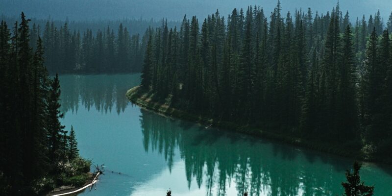 A serene forest lake in the middle of misty mountains.